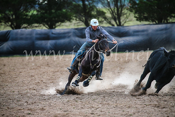 GoulburnCampdraft2017_7120