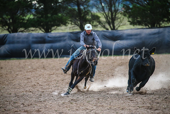 GoulburnCampdraft2017_7121