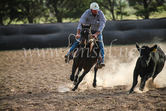 GoulburnCampdraft2017_7040