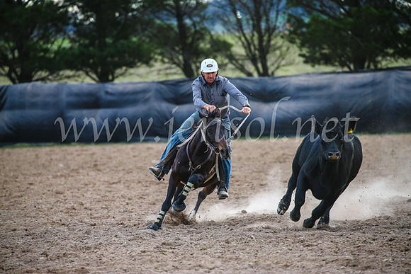 GoulburnCampdraft2017_7122