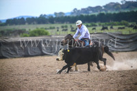 GoulburnCampdraft2017_6756