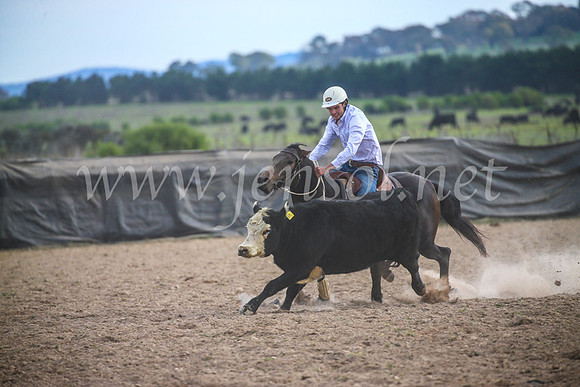 GoulburnCampdraft2017_6756