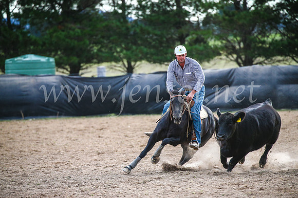 GoulburnCampdraft2017_6872