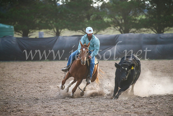 GoulburnCampdraft2017_7200