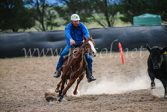 GoulburnCampdraft2017_6843