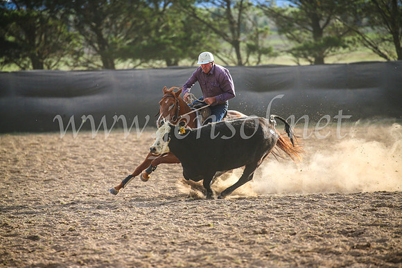 GoulburnCampdraft2017_7019