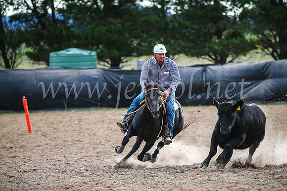 GoulburnCampdraft2017_6877