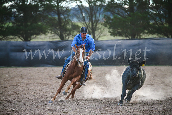GoulburnCampdraft2017_7212