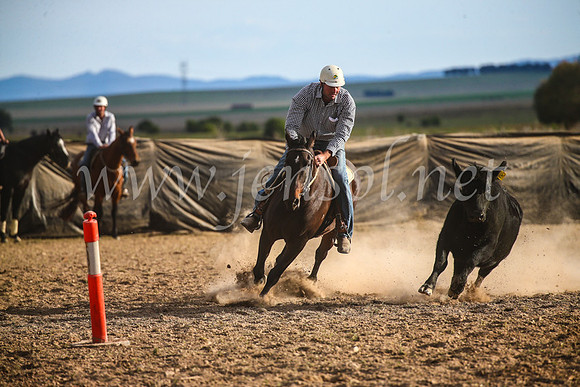 GoulburnCampdraft2017_7051
