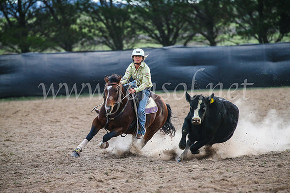 GoulburnCampdraft2017_7002