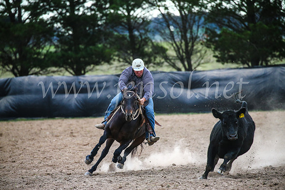 GoulburnCampdraft2017_6942