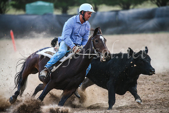 GoulburnCampdraft2017_7142