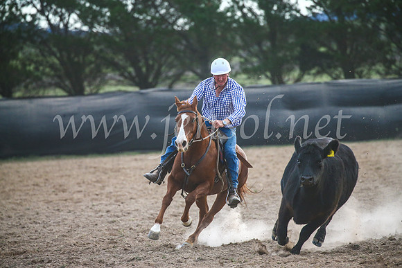 GoulburnCampdraft2017_7088