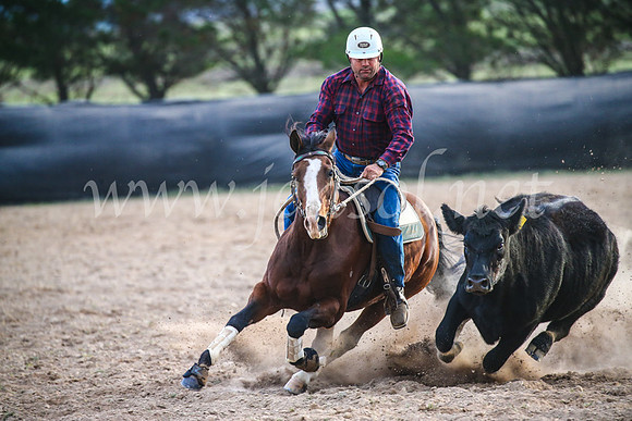 GoulburnCampdraft2017_7178