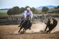 GoulburnCampdraft2017_6750
