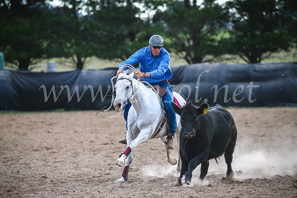 GoulburnCampdraft2017_6983