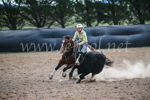 GoulburnCampdraft2017_6996