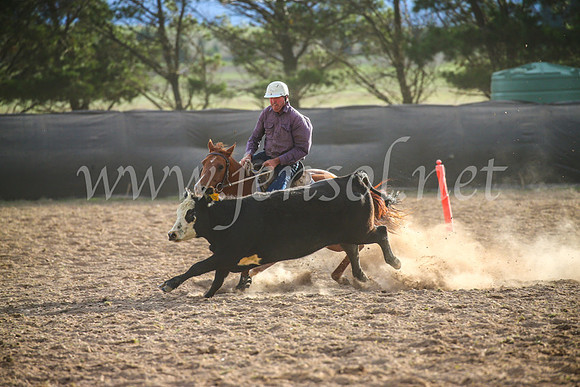 GoulburnCampdraft2017_7024