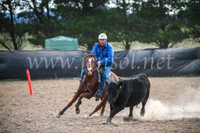 GoulburnCampdraft2017_6729