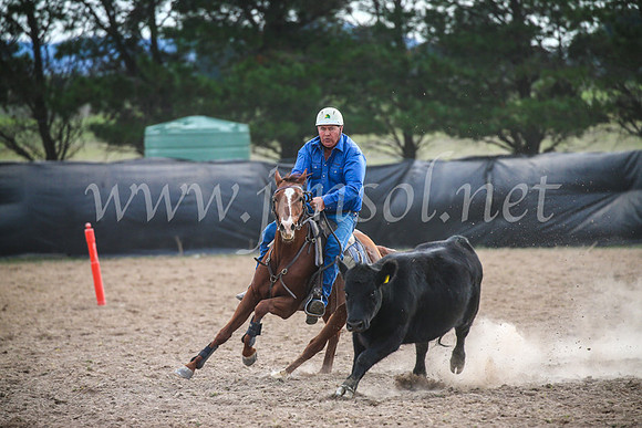 GoulburnCampdraft2017_6729