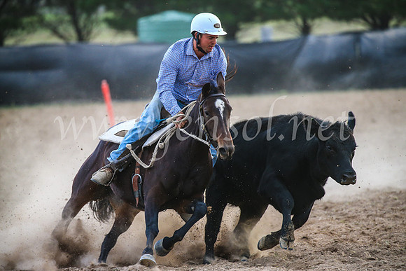 GoulburnCampdraft2017_7140