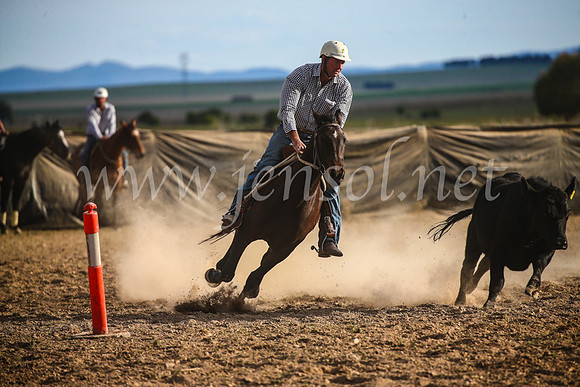 GoulburnCampdraft2017_7045