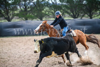 GoulburnCampdraft2017_6766