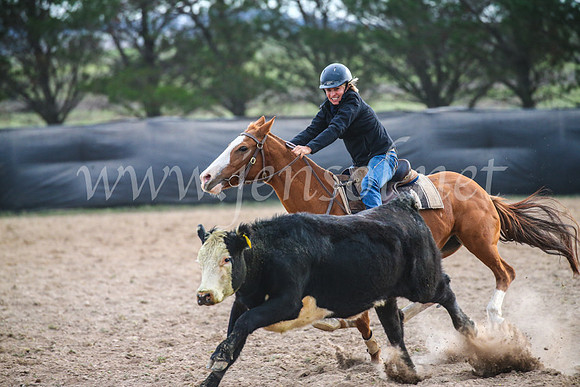 GoulburnCampdraft2017_6766