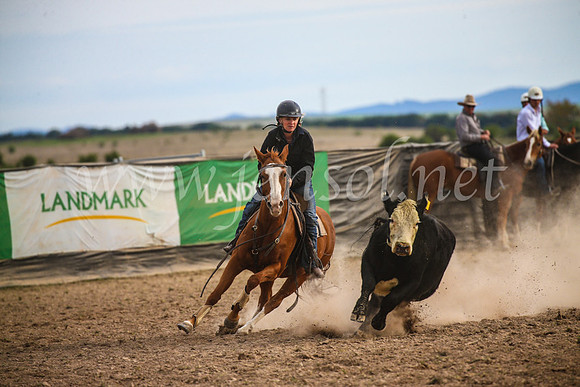 GoulburnCampdraft2017_6774