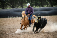 GoulburnCampdraft2017_6780