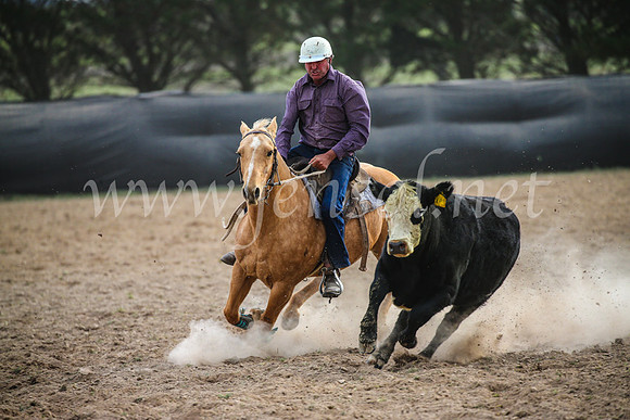 GoulburnCampdraft2017_6780