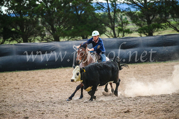 GoulburnCampdraft2017_6856