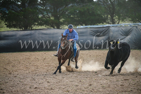 GoulburnCampdraft2017_6716