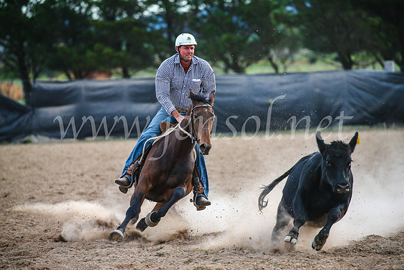 GoulburnCampdraft2017_7111