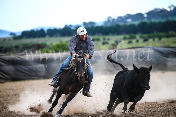GoulburnCampdraft2017_6948