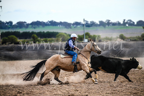 GoulburnCampdraft2017_6830
