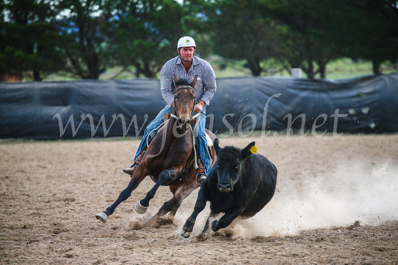 GoulburnCampdraft2017_7114