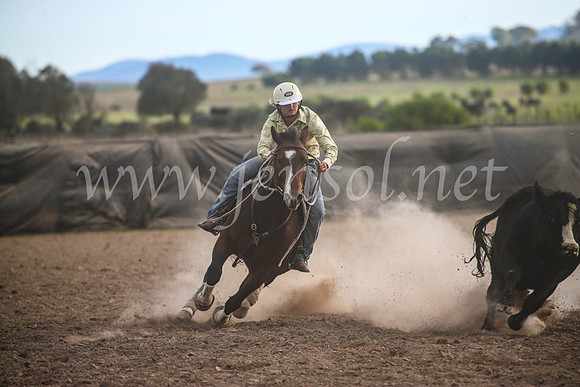 GoulburnCampdraft2017_7009