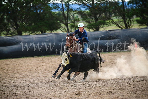GoulburnCampdraft2017_6852
