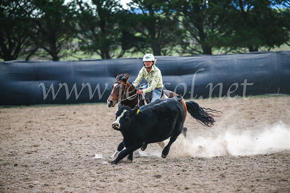 GoulburnCampdraft2017_6993