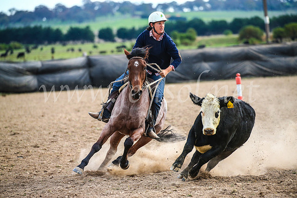 GoulburnCampdraft2017_6868