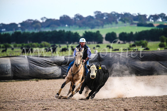 GoulburnCampdraft2017_6825