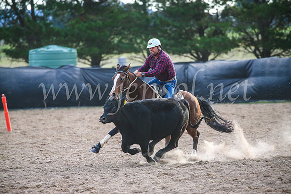 GoulburnCampdraft2017_7184