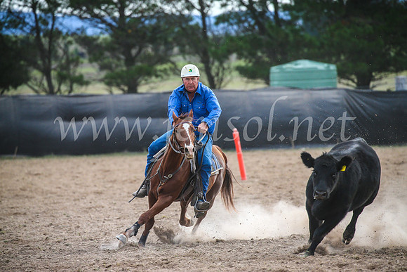 GoulburnCampdraft2017_6731