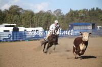 Novice Final