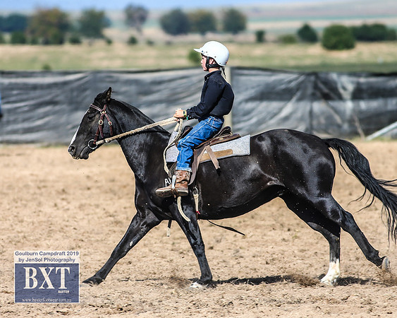 GoulburnCampdraft2019_3533