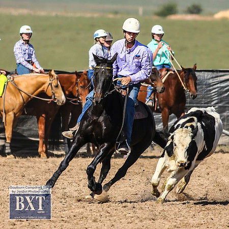 GoulburnCampdraft2019_3614