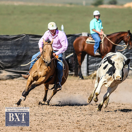 GoulburnCampdraft2019_3639