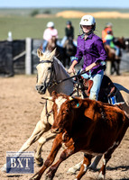GoulburnCampdraft2019_3425
