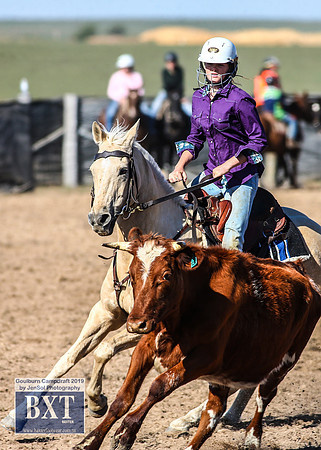 GoulburnCampdraft2019_3425